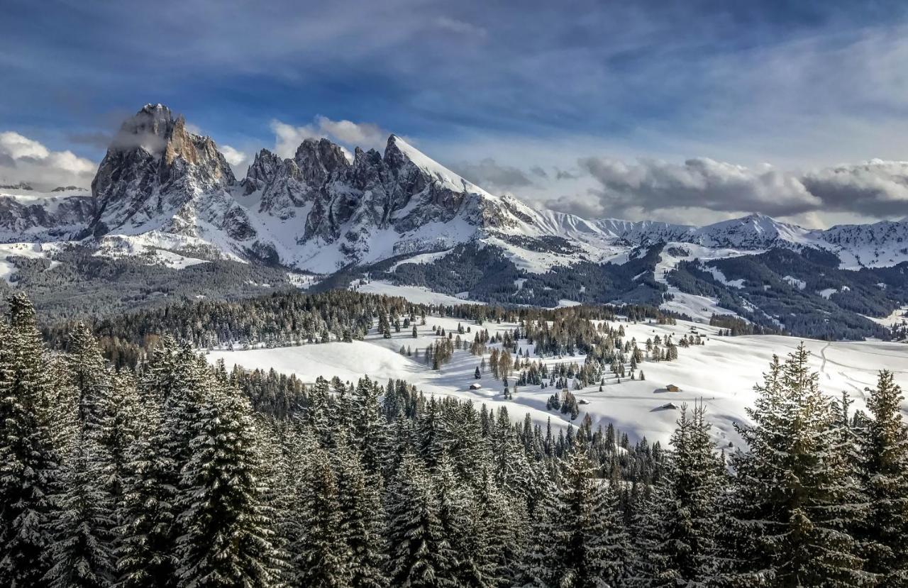 Apartments Vaiolet Santa Cristina Val Gardena Ngoại thất bức ảnh