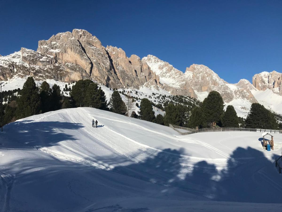 Apartments Vaiolet Santa Cristina Val Gardena Ngoại thất bức ảnh