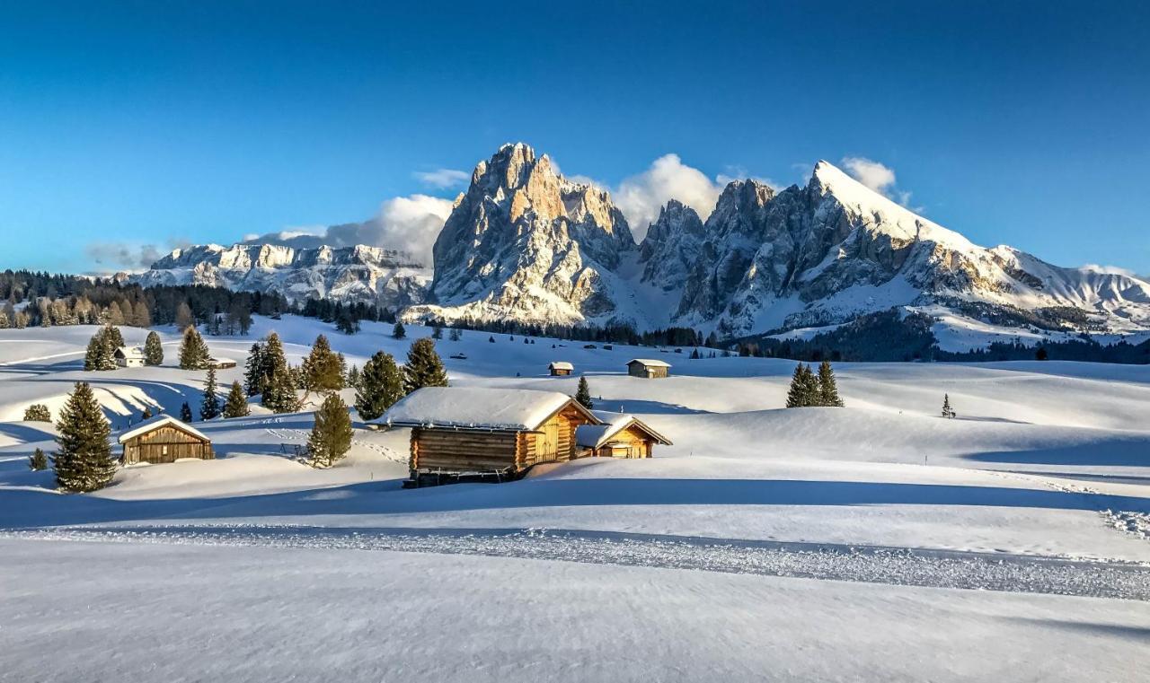 Apartments Vaiolet Santa Cristina Val Gardena Ngoại thất bức ảnh